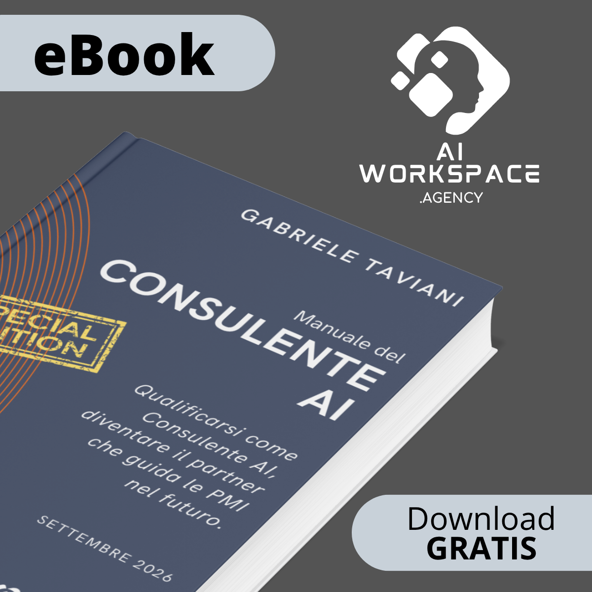 eBook Manuale del Consulente AI